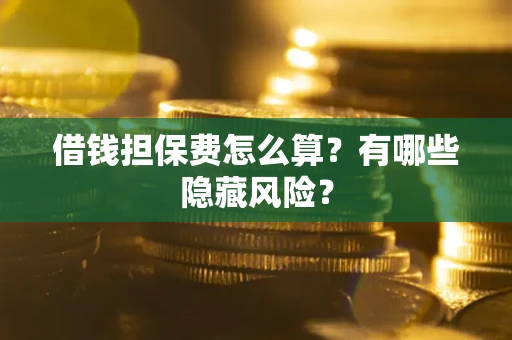 武汉借钱担保费怎么算？有哪些隐藏风险？