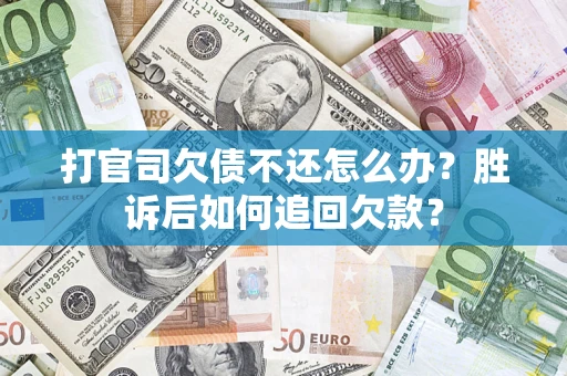 武汉打官司欠债不还怎么办？胜诉后如何追回欠款？