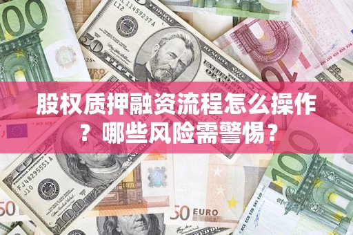 武汉股权质押融资流程怎么操作？哪些风险需警惕？