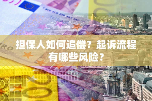 武汉担保人如何追偿？起诉流程有哪些风险？