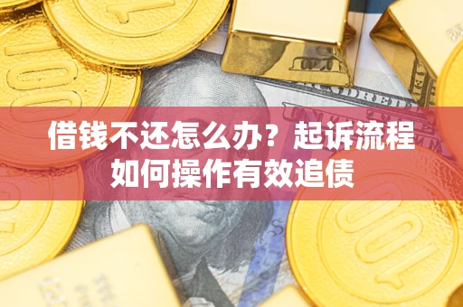 武汉借钱不还怎么办？起诉流程如何操作有效追债